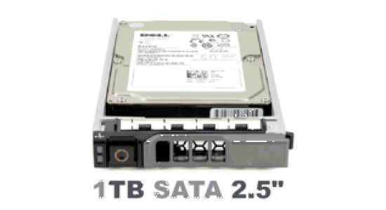 J1D1H Жесткий диск Dell HDD 1TB 6G 7.2K 2.5" SATA w/G176J